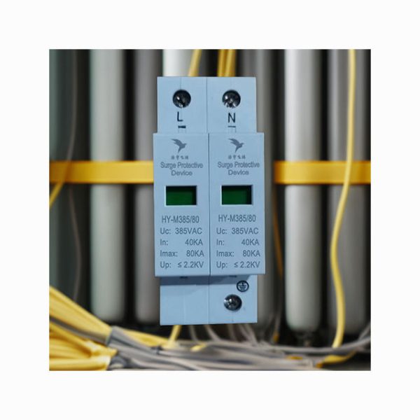 Single-Phase 2P 80KA T2 Type Surge Protector High Performance SPD Surge Protection Device - Image 5